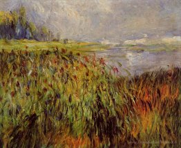Giunchi sulle rive della Senna