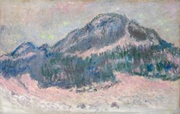 Monte Kolsaas, Rosa Riflessione