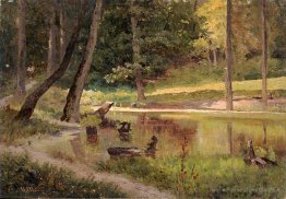 Stagno