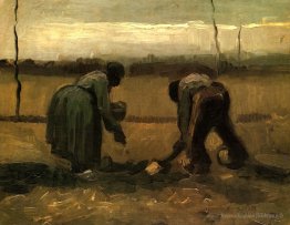 Contadine e contadini donna patate Piantare