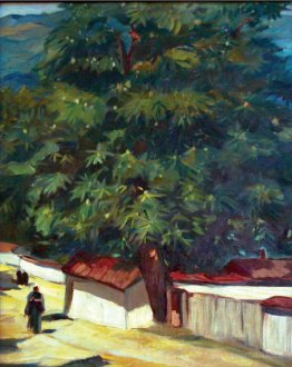 Street a Karlovo