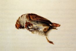 Piume di Partridge