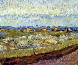 Peach alberi in fiore