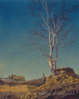 White Birch