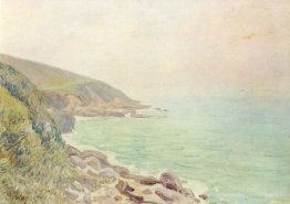 Welsh Costa nella nebbia