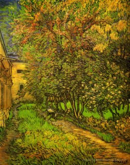 Il giardino di Saint-Paul Hospital