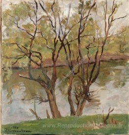 Willows sul fiume Protva