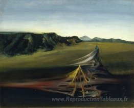 Paesaggio Biologico