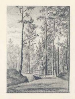 Secondo ponte sulla strada per aia in Foresta Demaniale