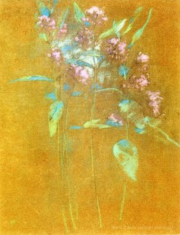 Fiori di campo