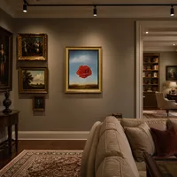 Rosa meditativa — Casa del collezionista