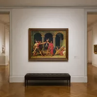 Il giuramento degli Orazi — Interno di museo