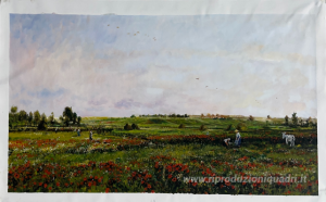 Campi del mese di giugno