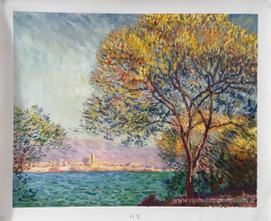 Destini animali (L'Albero mostrano i loro anelli, gli Animali lo