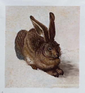Una giovane lepre