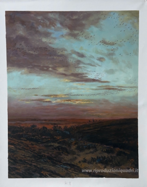 Sera migrazione degli uccelli