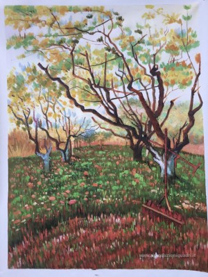 Frutteto in fiore