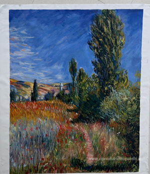 Paesaggio sull'Ile Saint-Martin