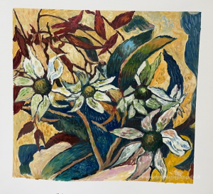 Fiori di flanella e foglie di gomma