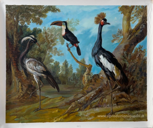 Demoiselle Crane, Tucano, e Moretta Gru
