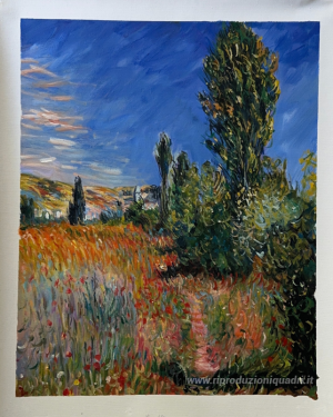 Paesaggio sull'Ile Saint-Martin